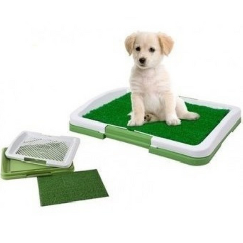 Image of Baño Portatil para Mascotas Ecologico Perros Gatos para Orinar Con Cesped - Puppy Potty Pad